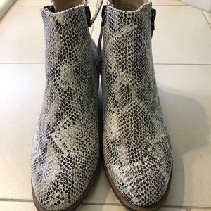 Snake skin booties size 10